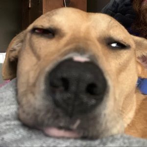 Meet your Posher, Alejandra